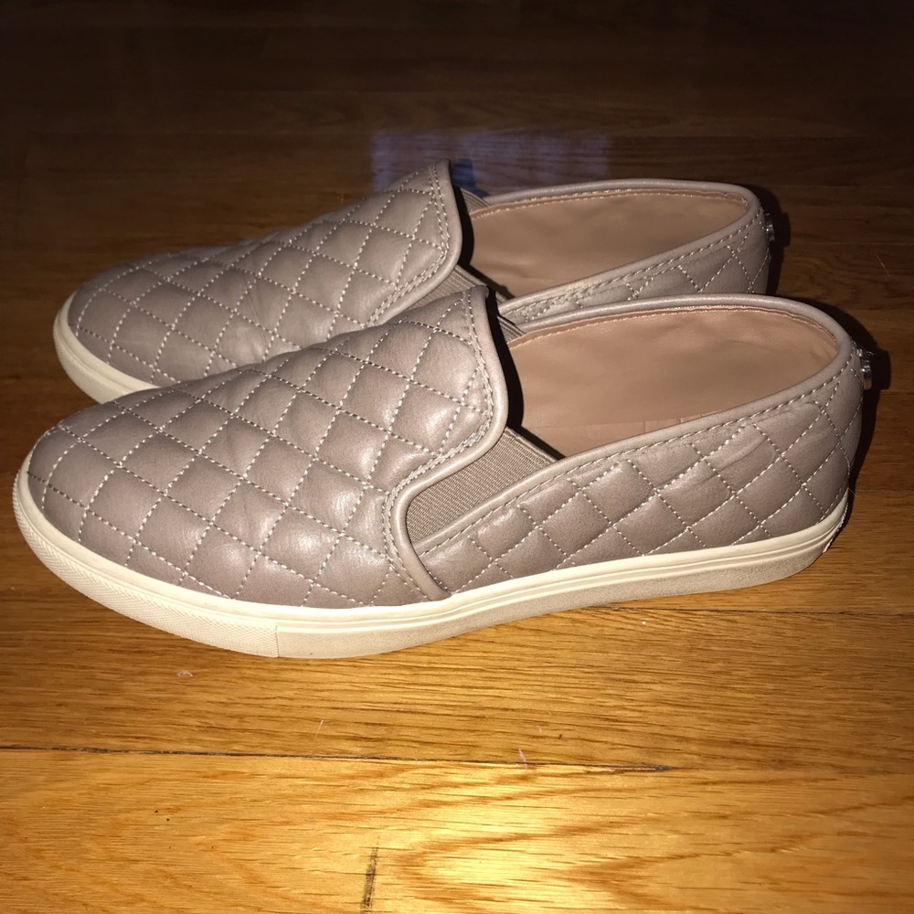 Steve Madden Ecentrcq slip on sneaker